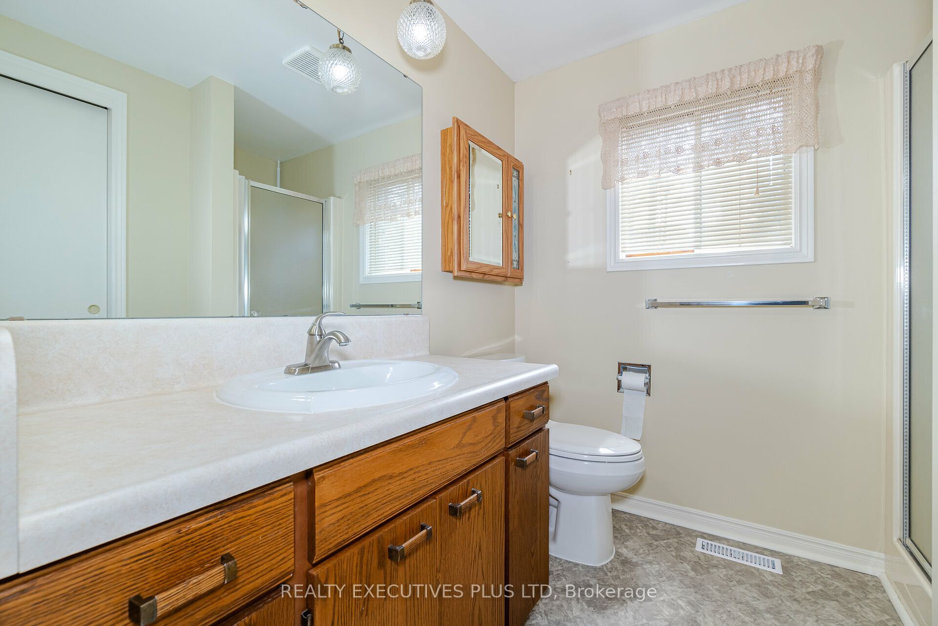 9 Pine Tree Crt Property Photo 19