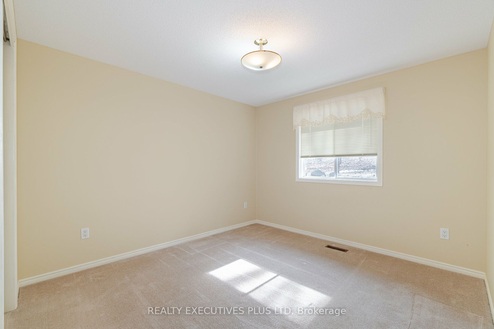 9 Pine Tree Crt Property Photo 22