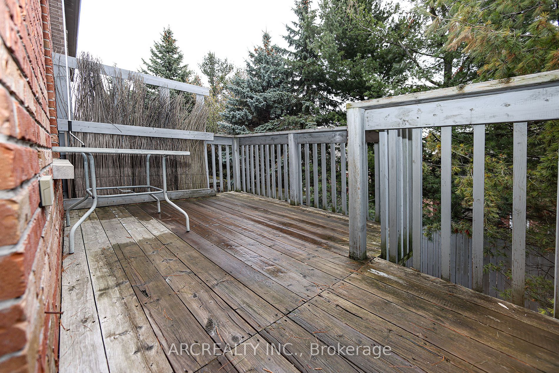 25 Shallot Crt Property Photo 33