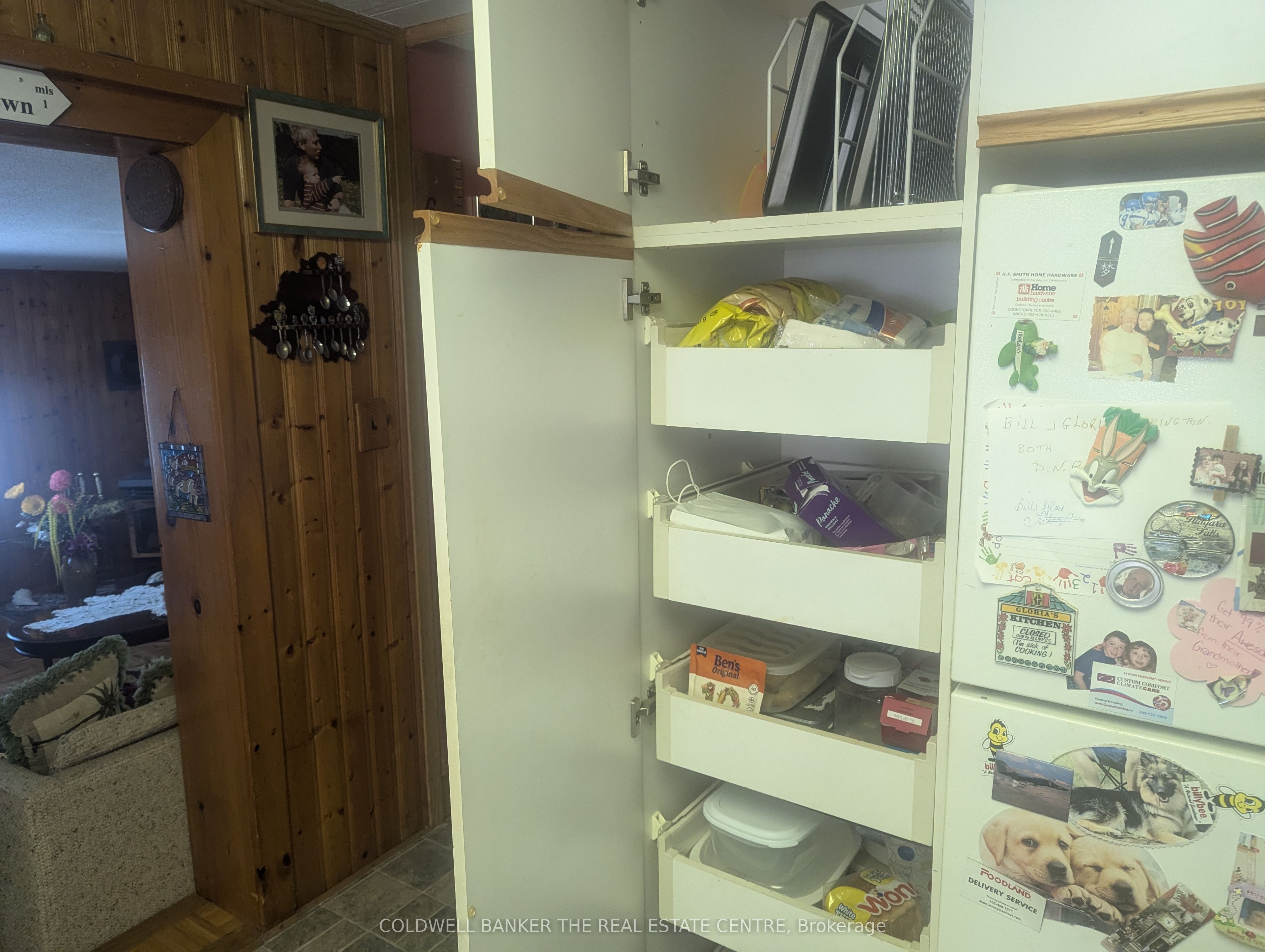 8 Elmwood Court Property Photo 7