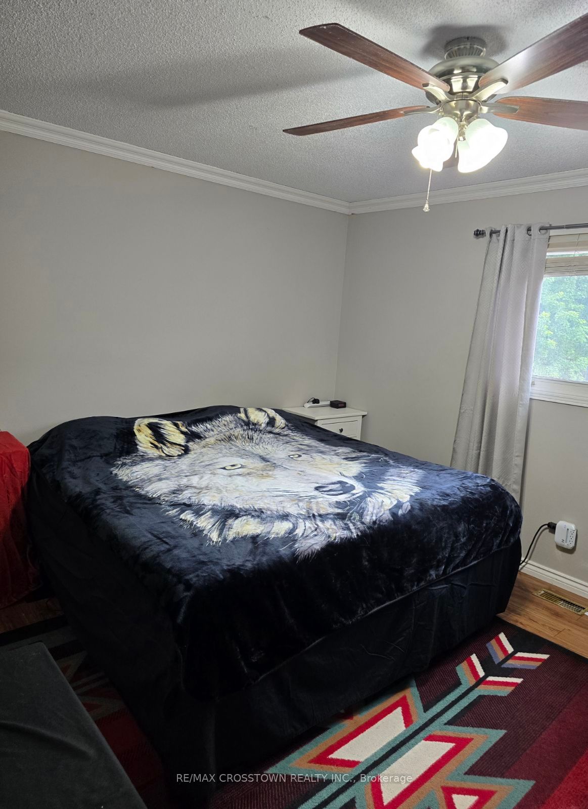 13 Robertson Rd Property Photo 19