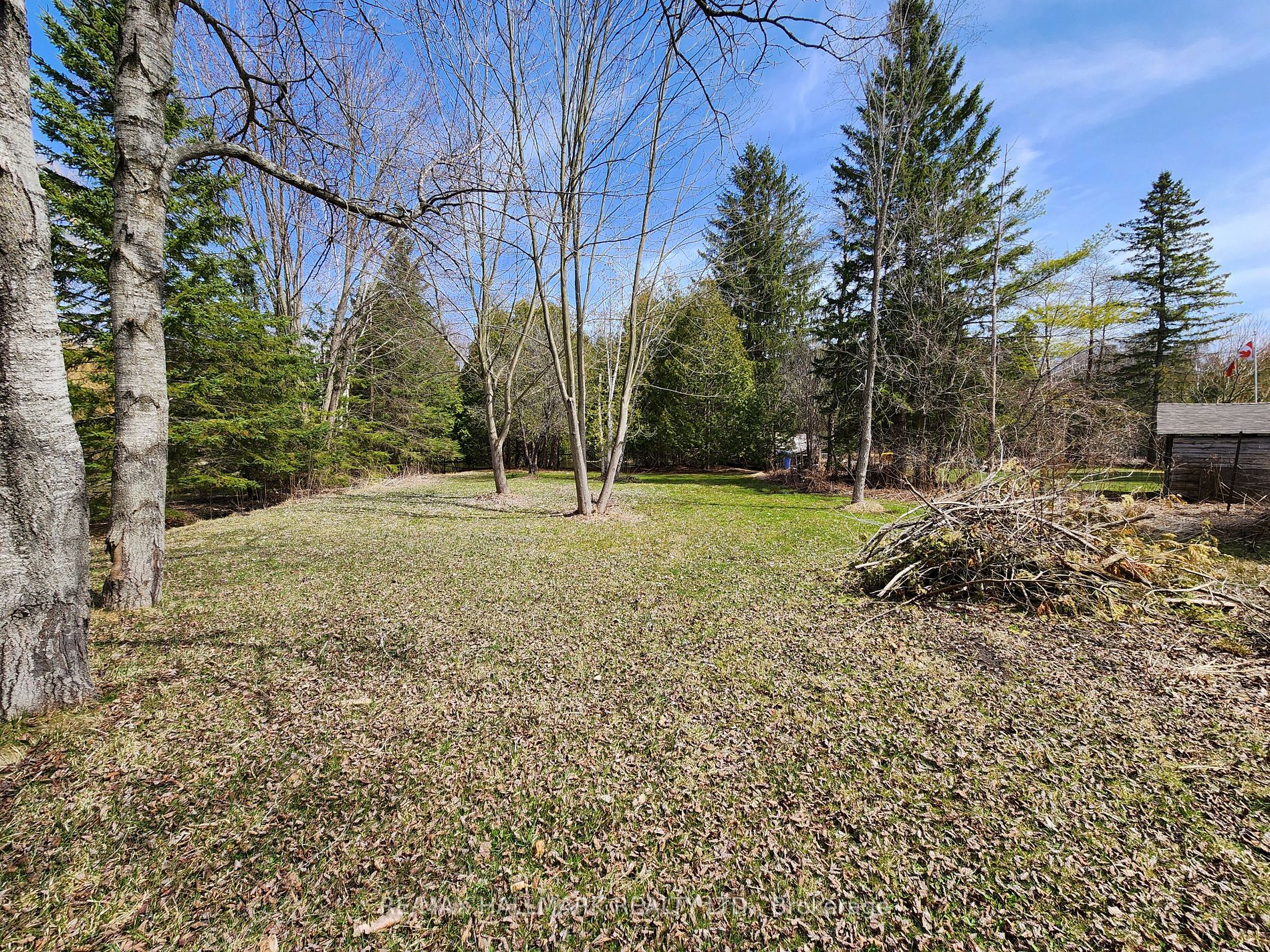 41 Nicholson Dr Property Photo 3