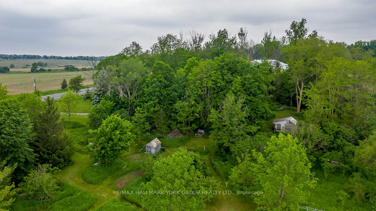 15763 Dufferin Street Property Photo 5