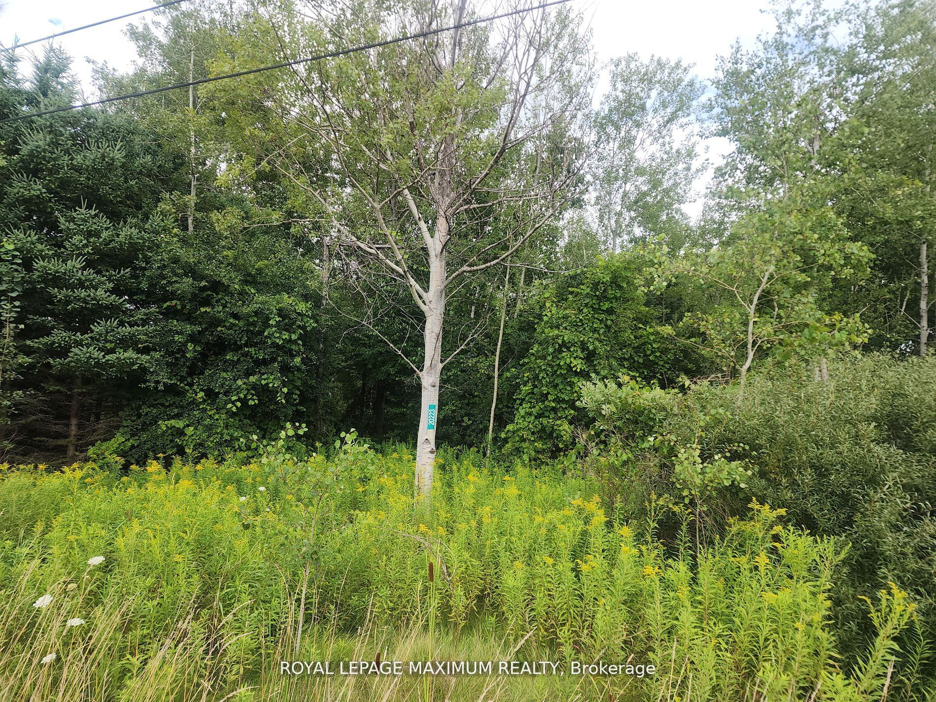 20223 Bathurst Street Property Photo 2