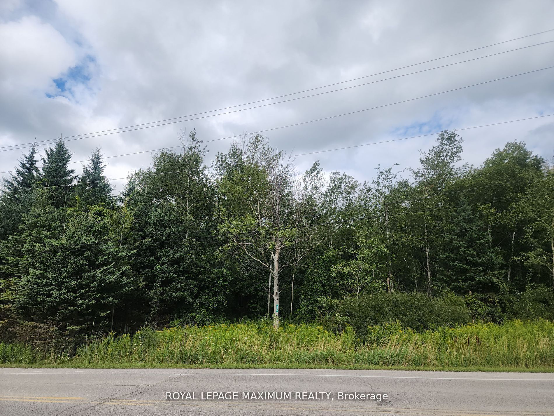 20223 Bathurst Street Property Photo 4