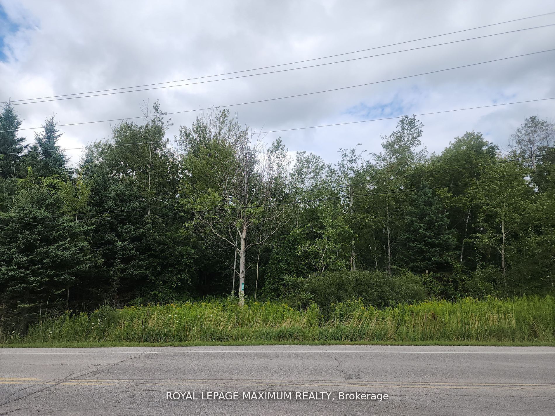 20223 Bathurst Street Property Photo 7