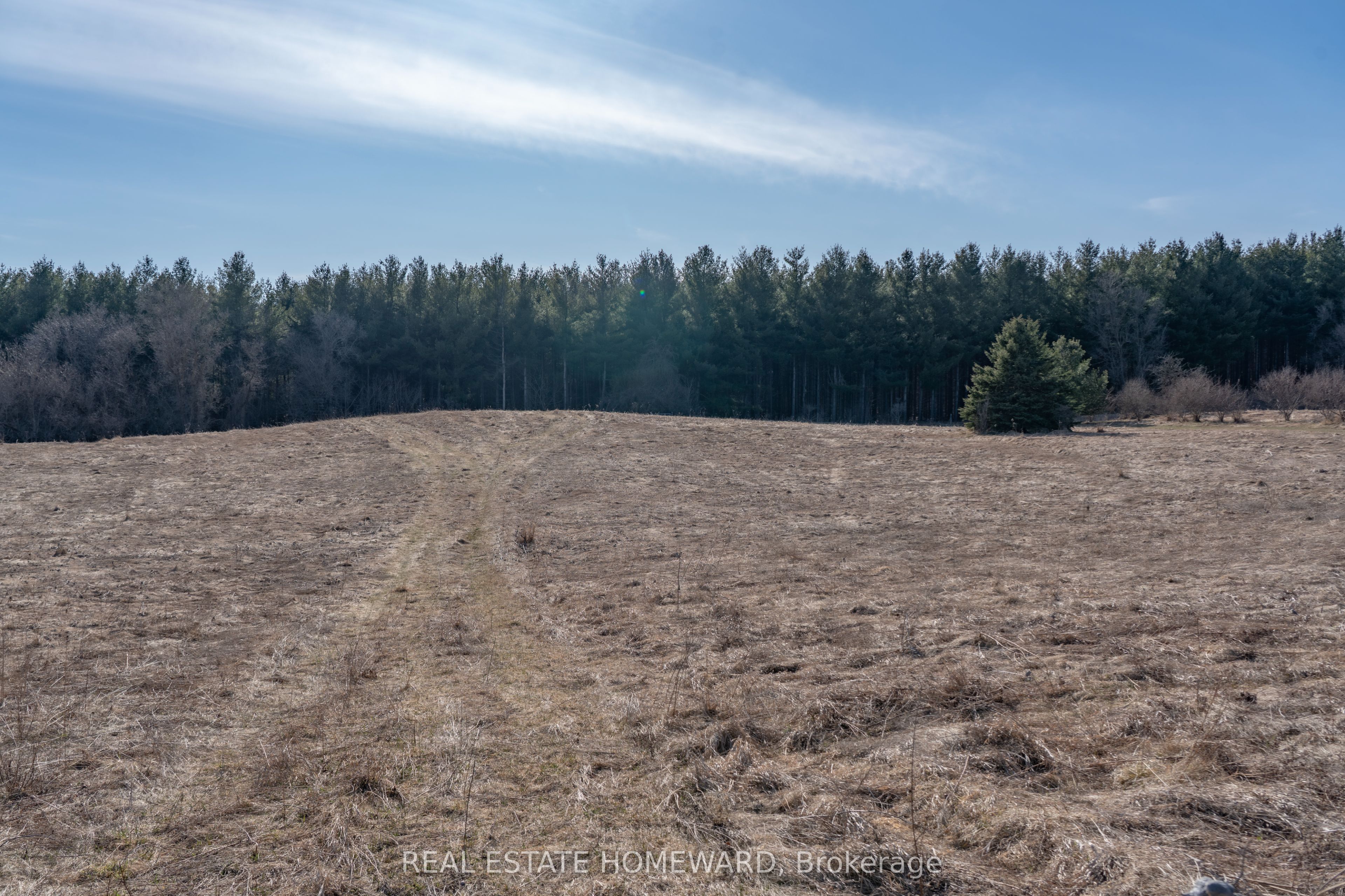1430 County Rd 50 S Property Photo 4