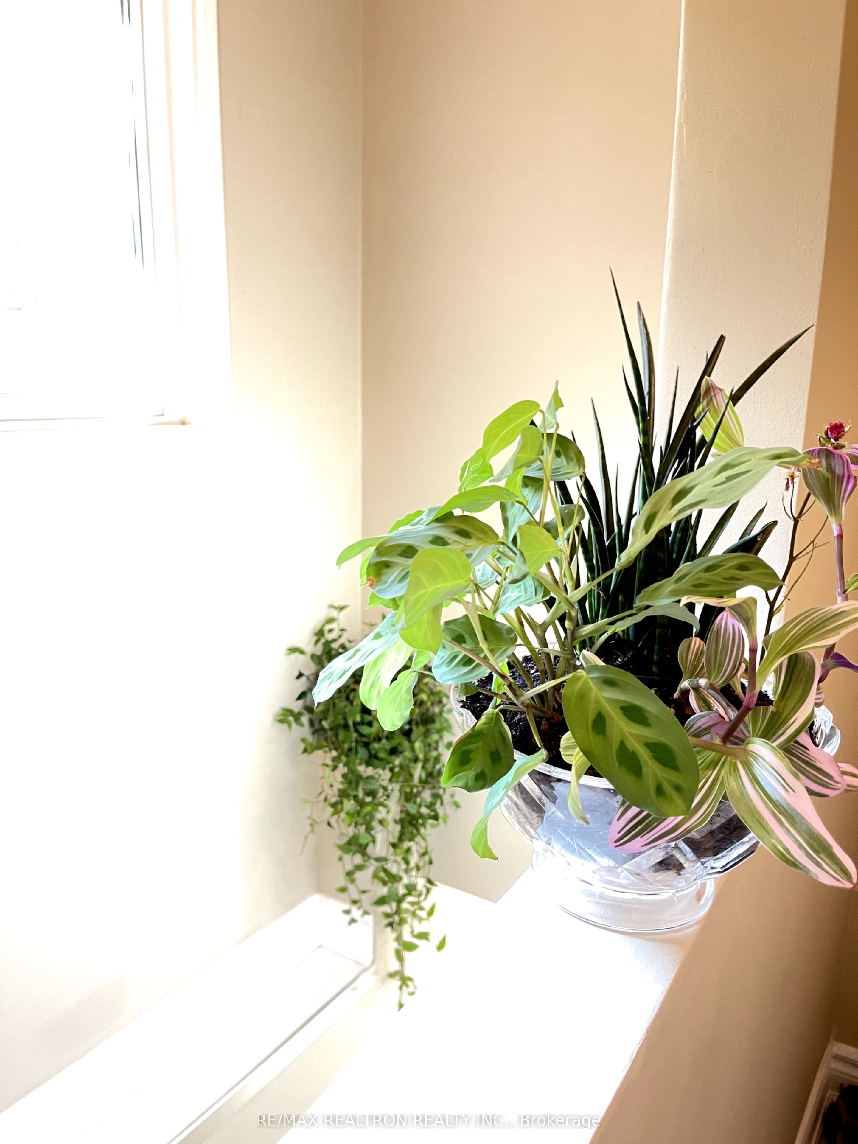 8 Keffer Circle Property Photo 7