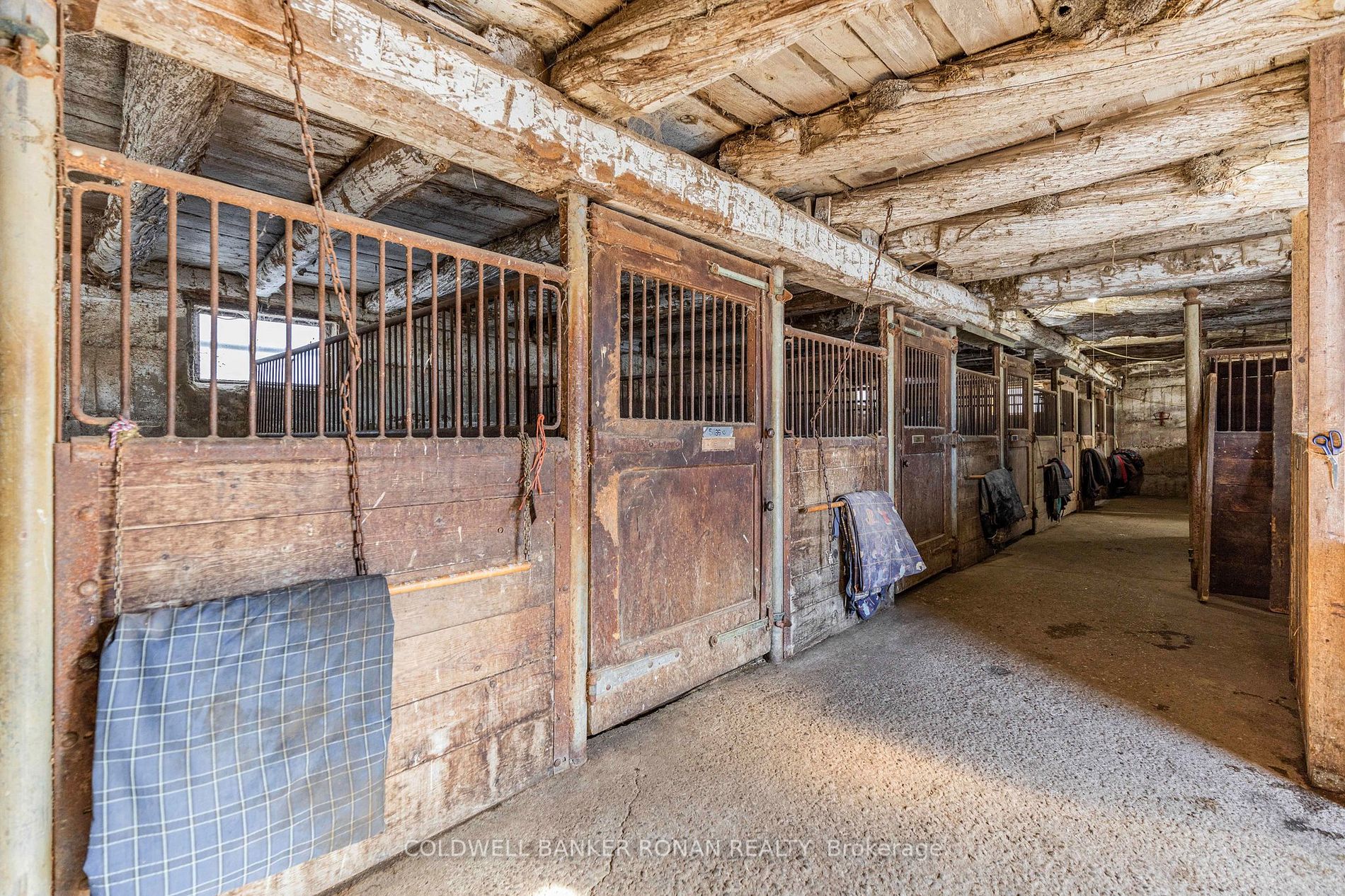 4628 Line 10 Property Photo 27