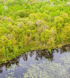 3600 Narrows Road Property Photo 6