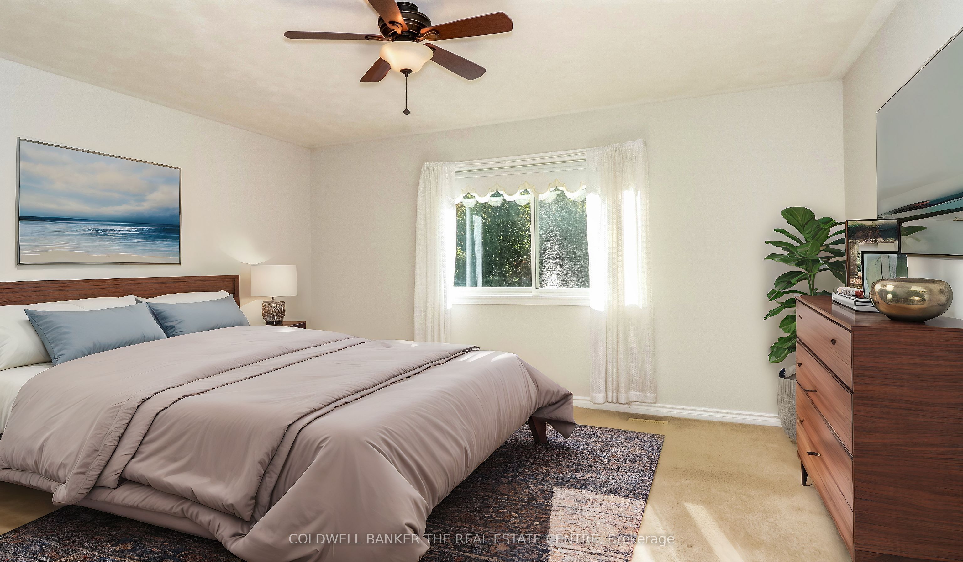 156 Columbia Road Property Photo 22