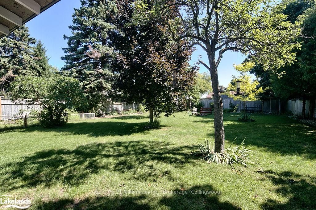 523 Hurontario Street Property Photo 19