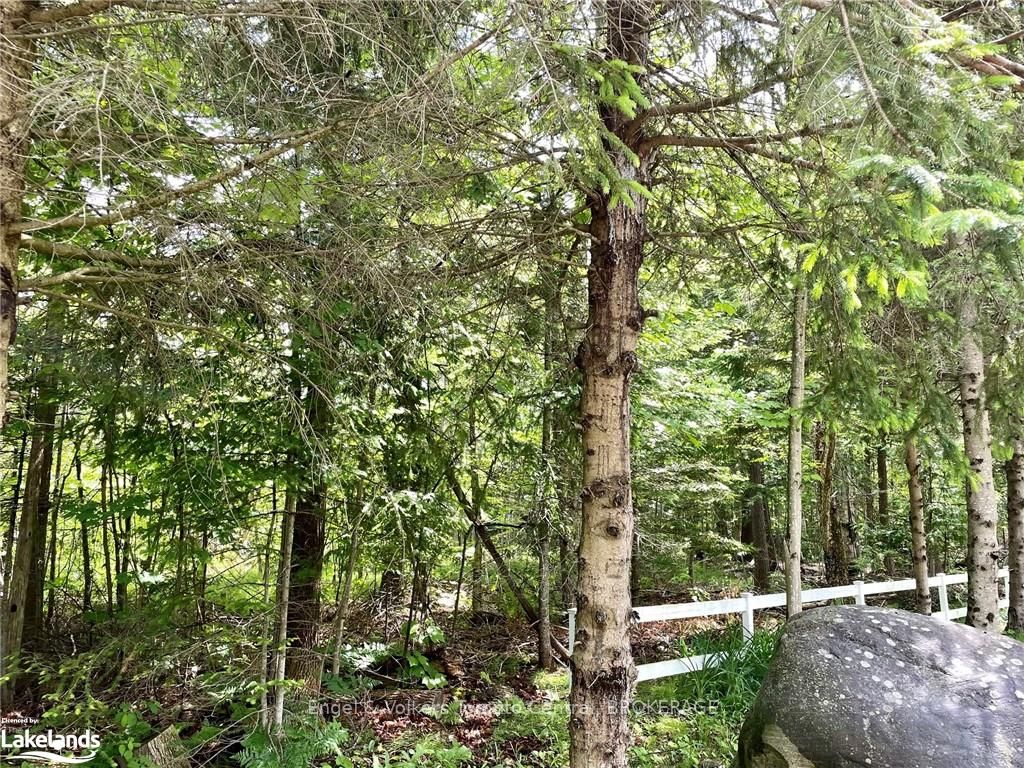 Lot 454 Seguin Crescent Property Photo 2