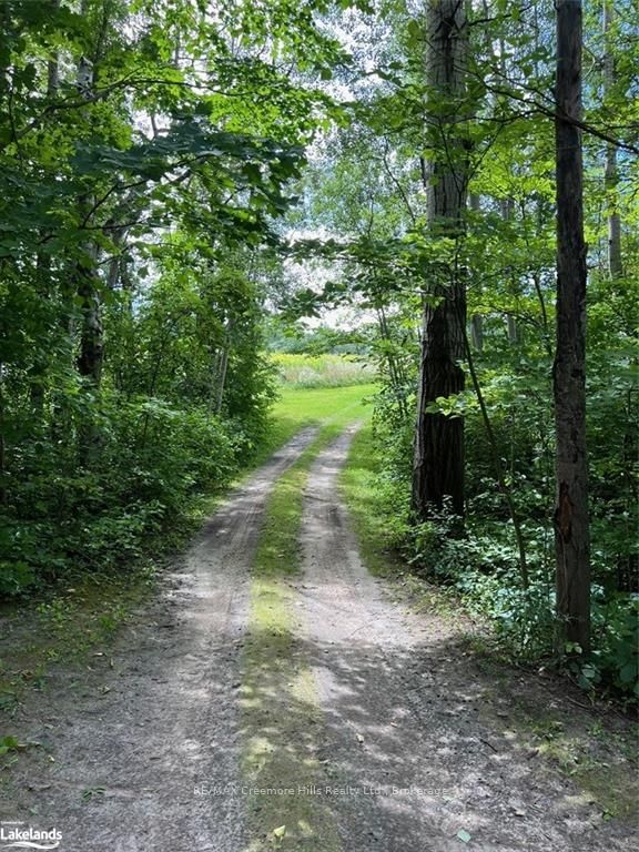 2332 Centre Line Property Photo 17