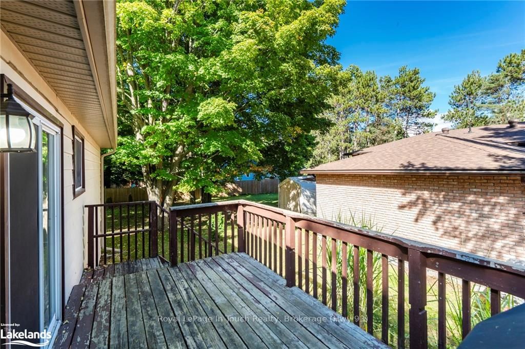 35 Dorcas Avenue Property Photo 30