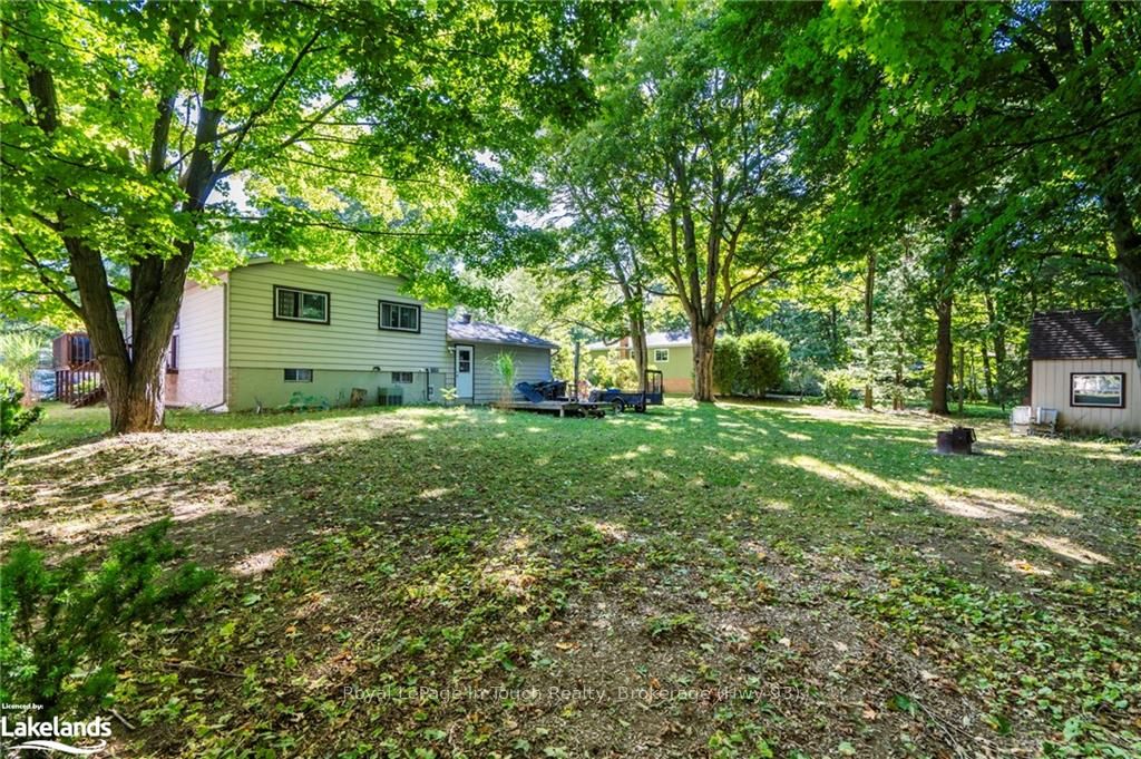 35 Dorcas Avenue Property Photo 34