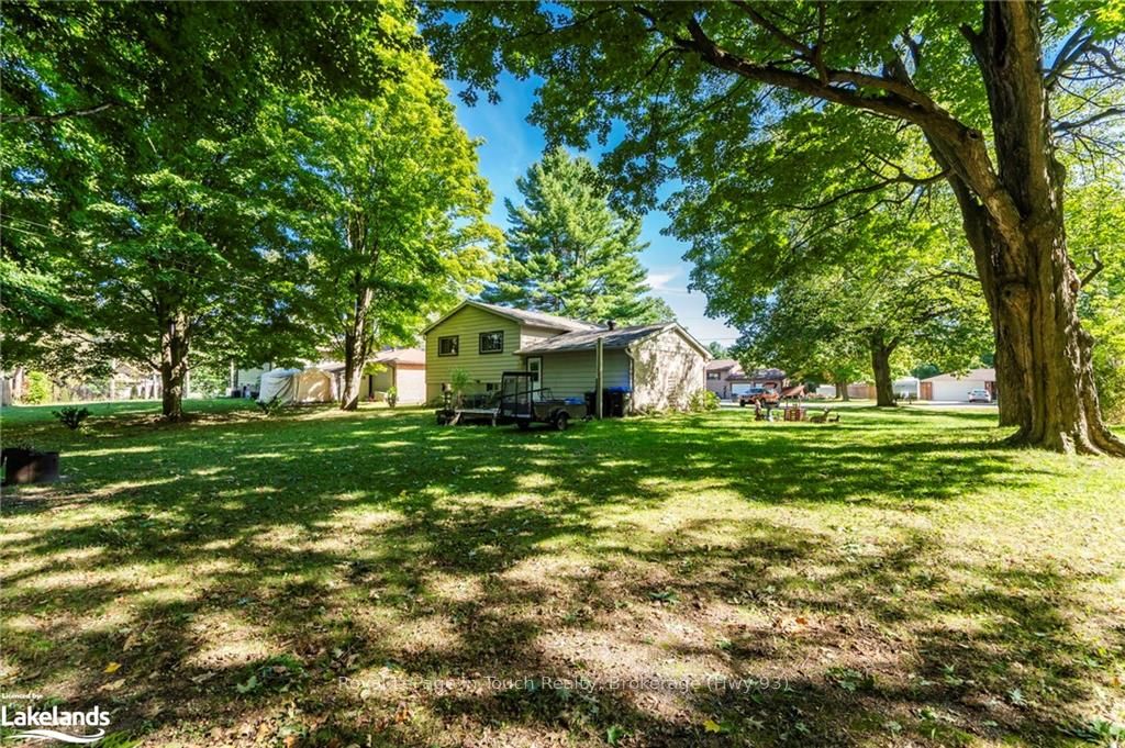 35 Dorcas Avenue Property Photo 35