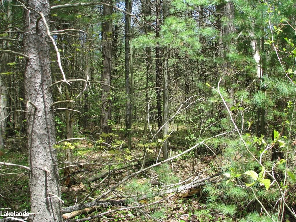 Con 1 Sunnidale Tosorontio Property Photo 3