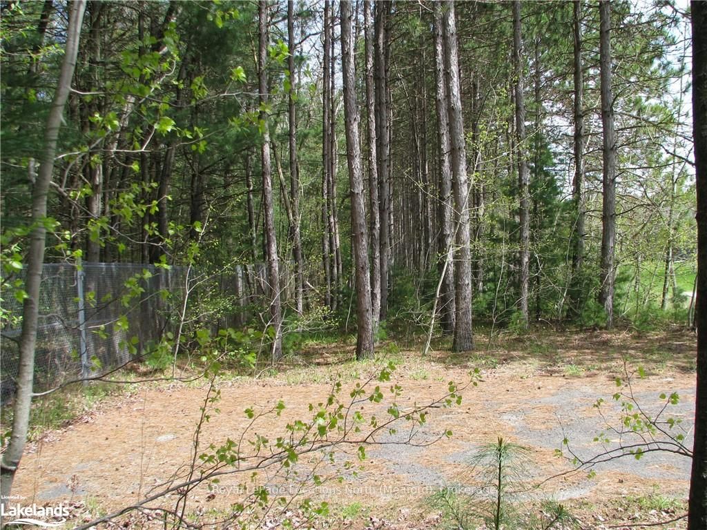 Con 1 Sunnidale Tosorontio Property Photo 11