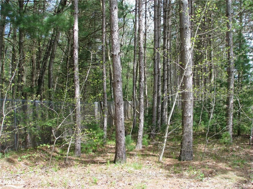 Con 1 Sunnidale Tosorontio Property Photo 13