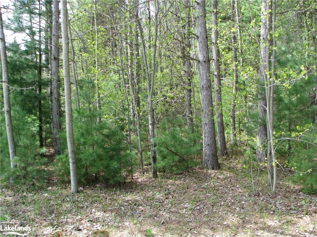 Con 1 Sunnidale Tosorontio Property Photo 14