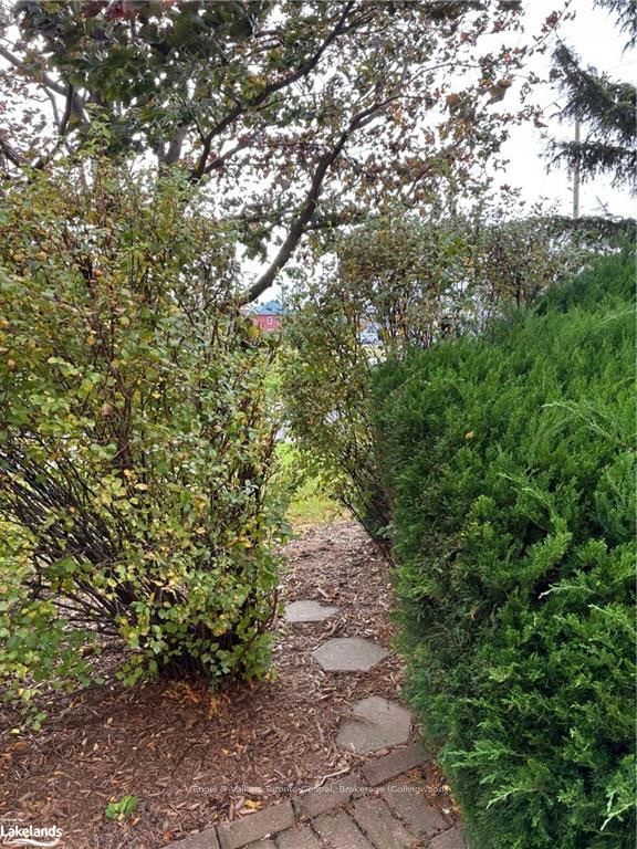 #102 - 16 Raglan Street Property Photo 21