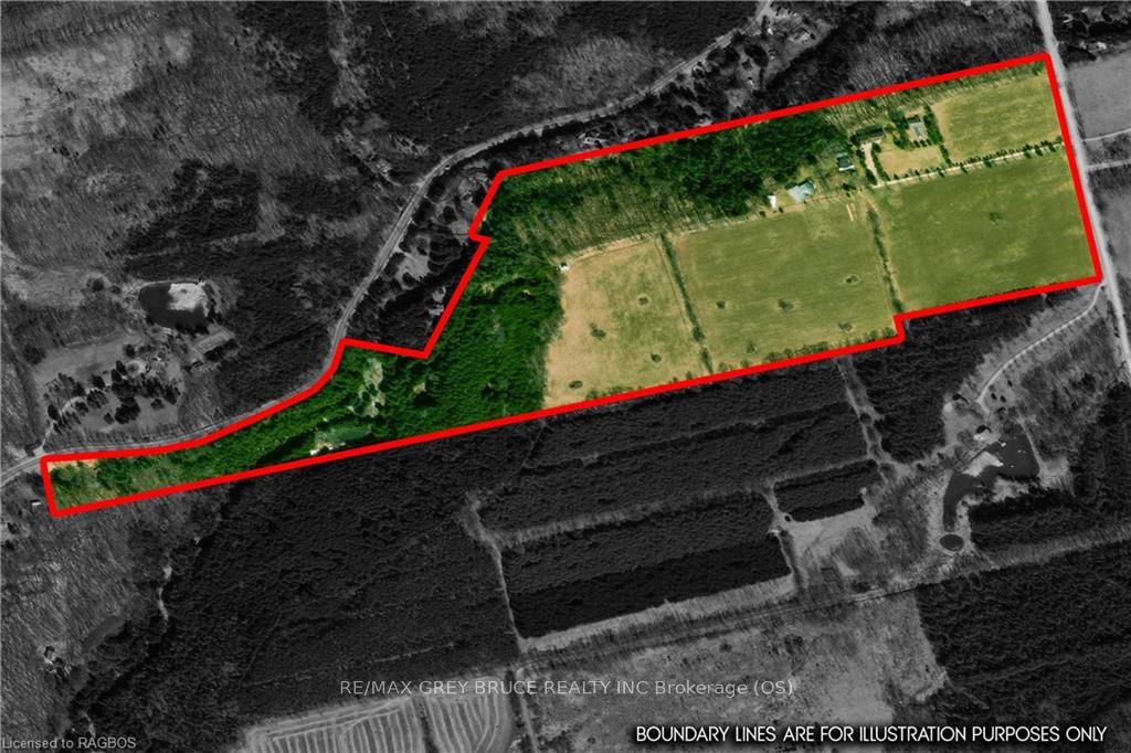 3476 Garden Of Eden Road Property Photo 12