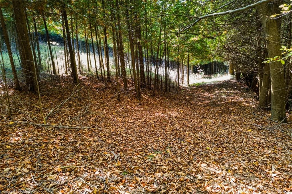 3476 Garden Of Eden Road Property Photo 19