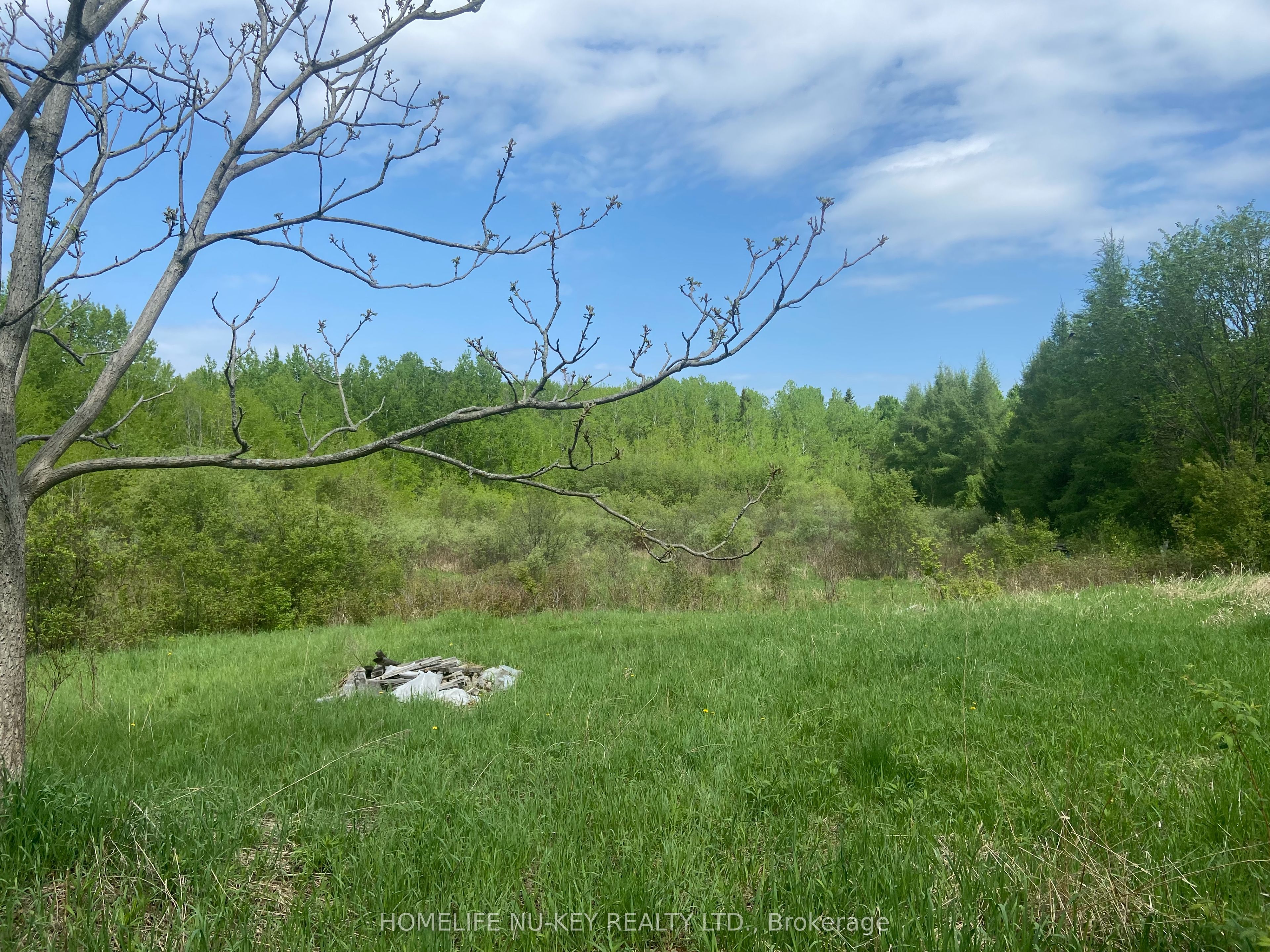 99 Bayfield Street Property Photo 12