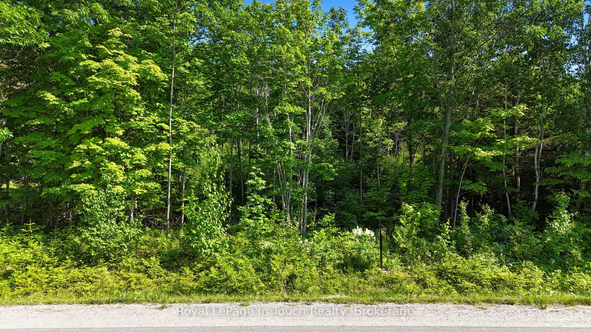 585 Champlain Road Property Photo 12