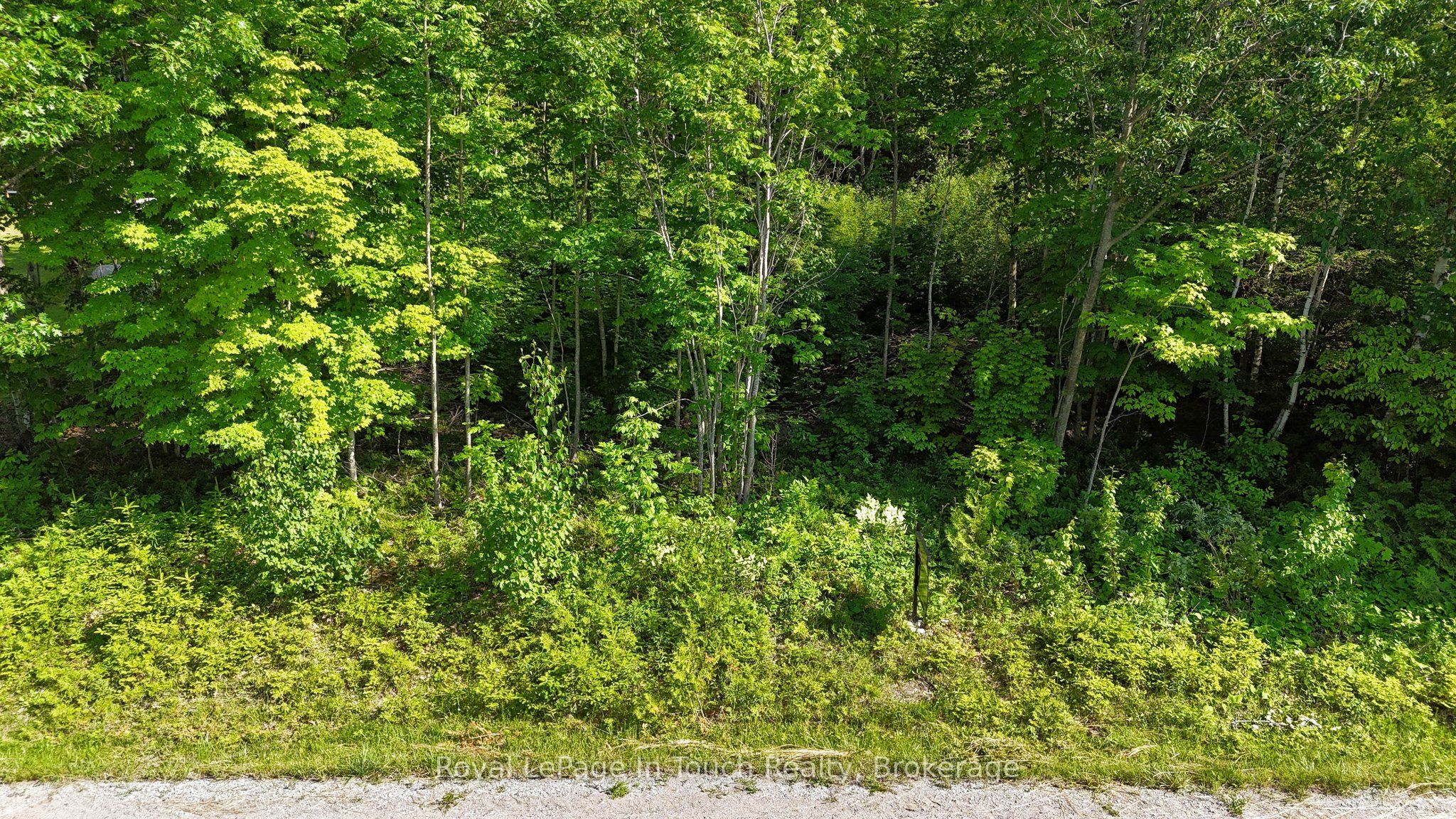585 Champlain Road Property Photo 13