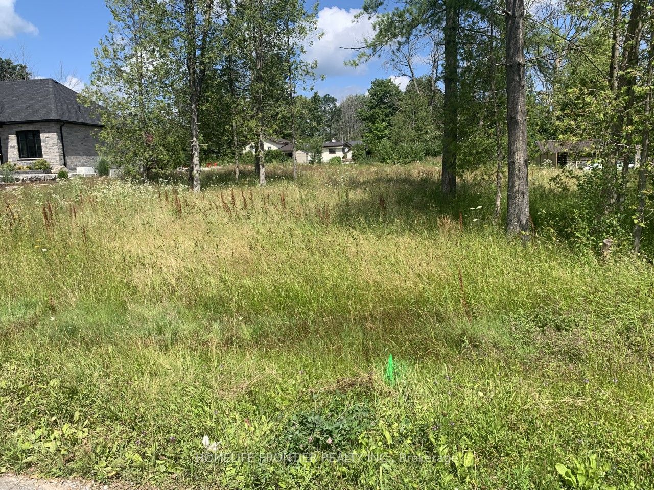 0 Symond Avenue Property Photo 2