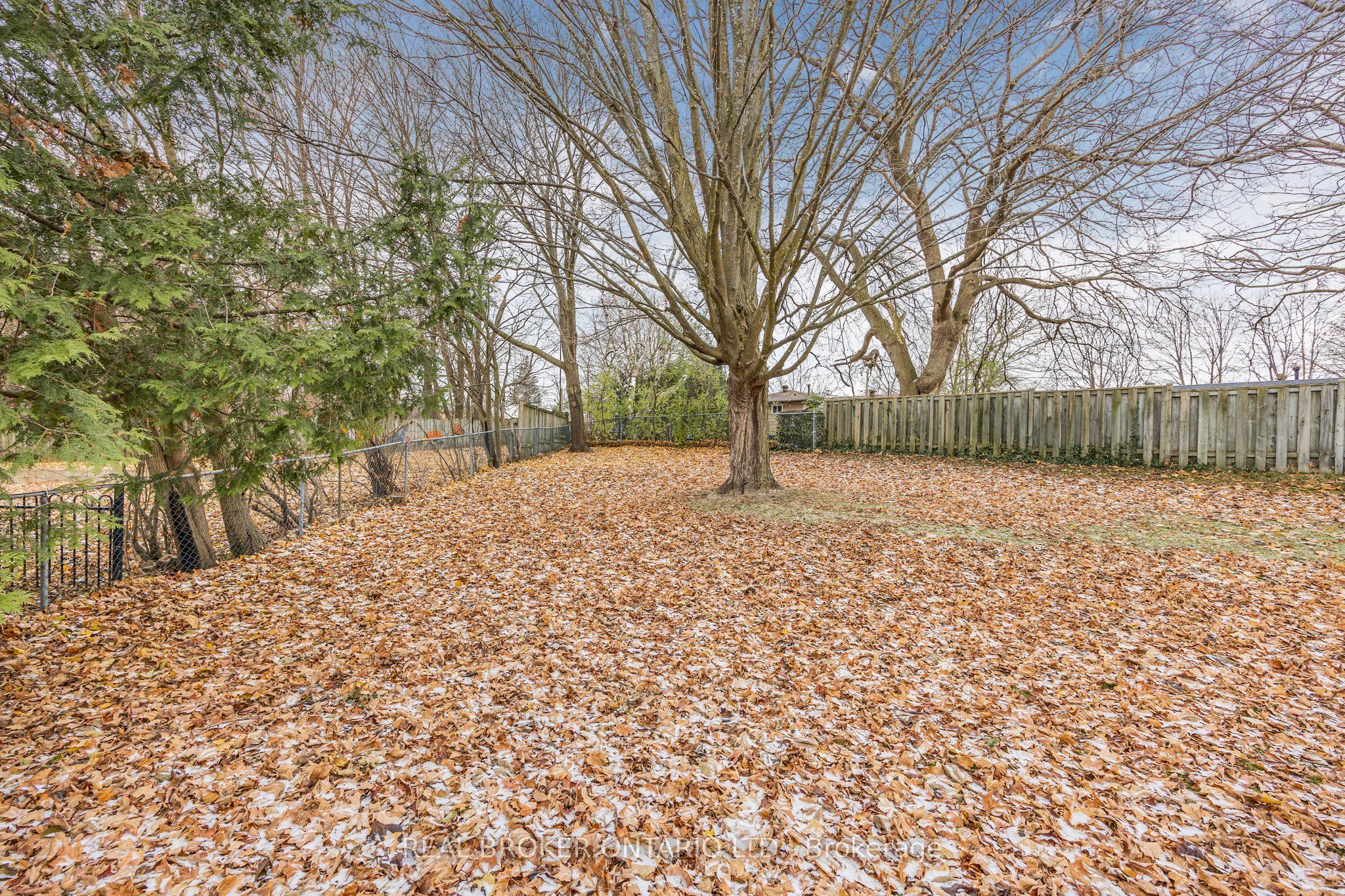 12 Curtiss Court Property Photo 37
