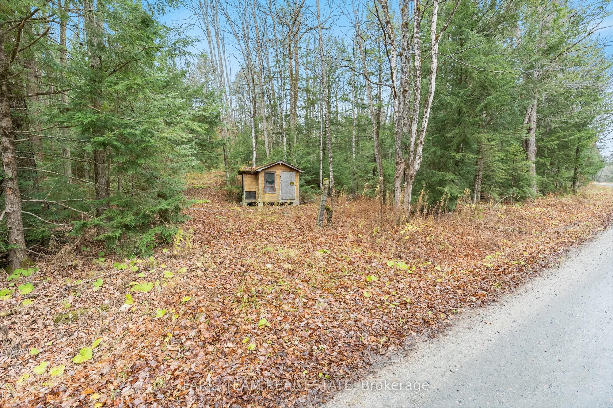 7950 Kings River Road Property Photo 3