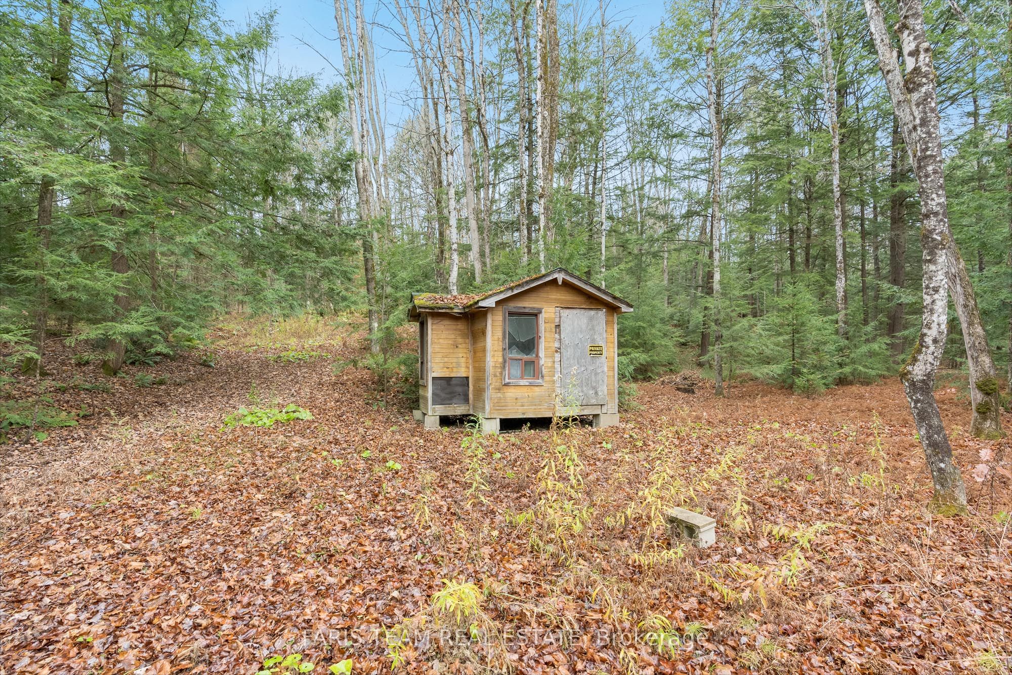 7950 Kings River Road Property Photo 4