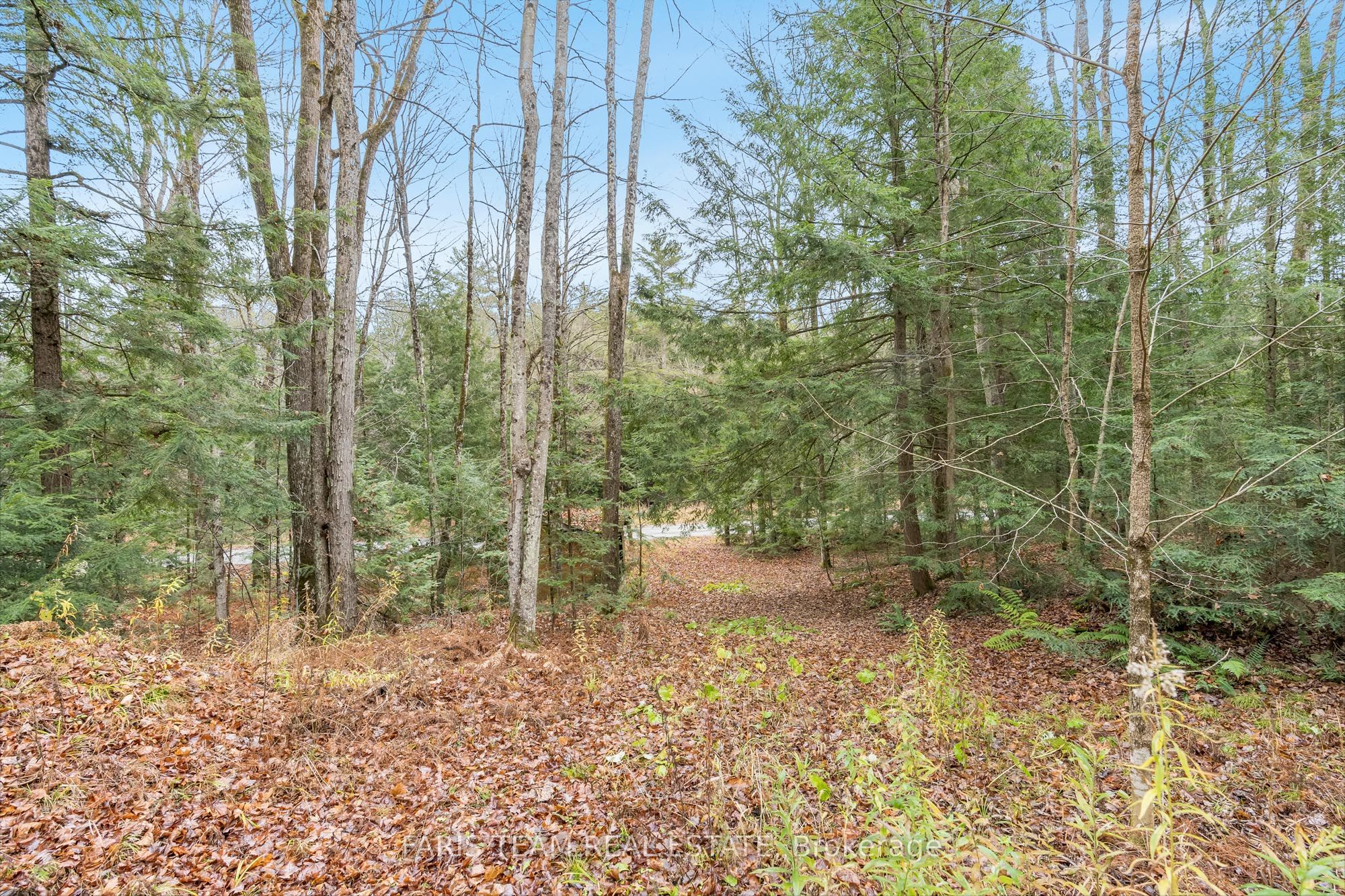 7950 Kings River Road Property Photo 5