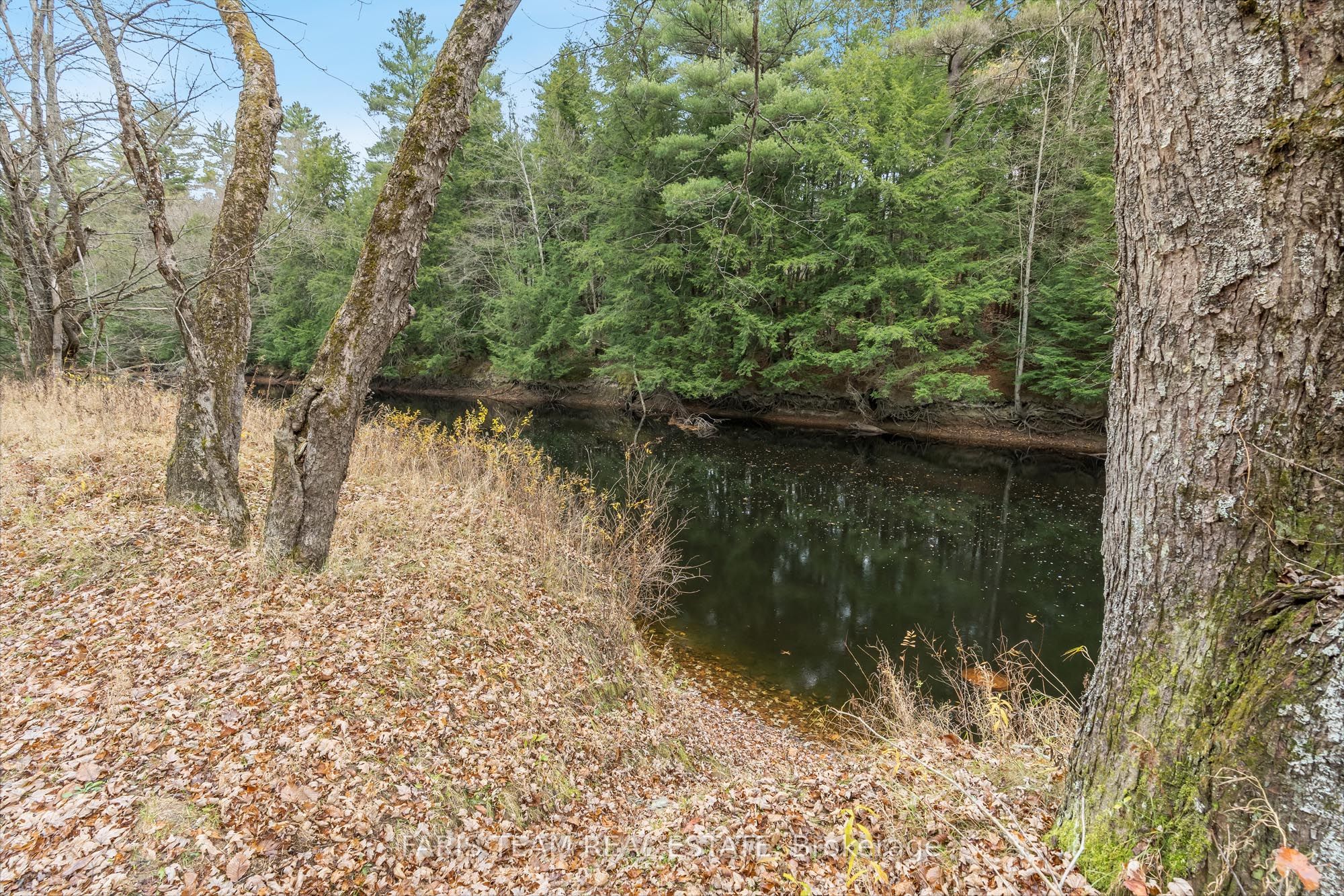 7950 Kings River Road Property Photo 6