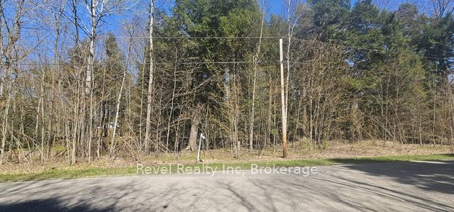 Lt 13 Beatrice Avenue Property Photo 1