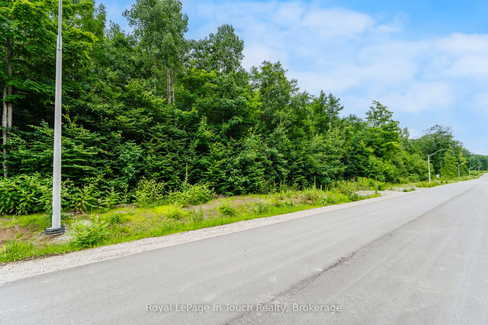 Lot 65 Whispering Pine Circle Property Photo 6