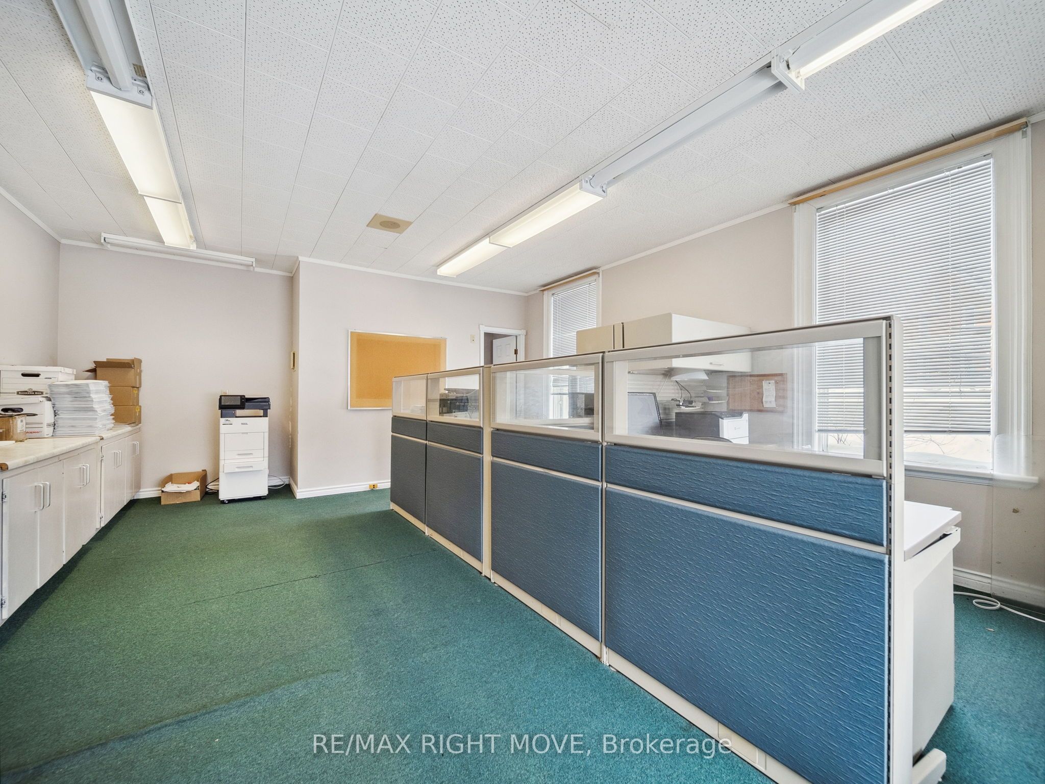 29 Albert Street Property Photo 7