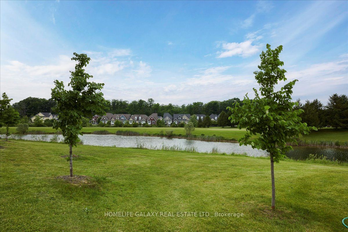 13 Hills Thistle Dr Property Photo 28