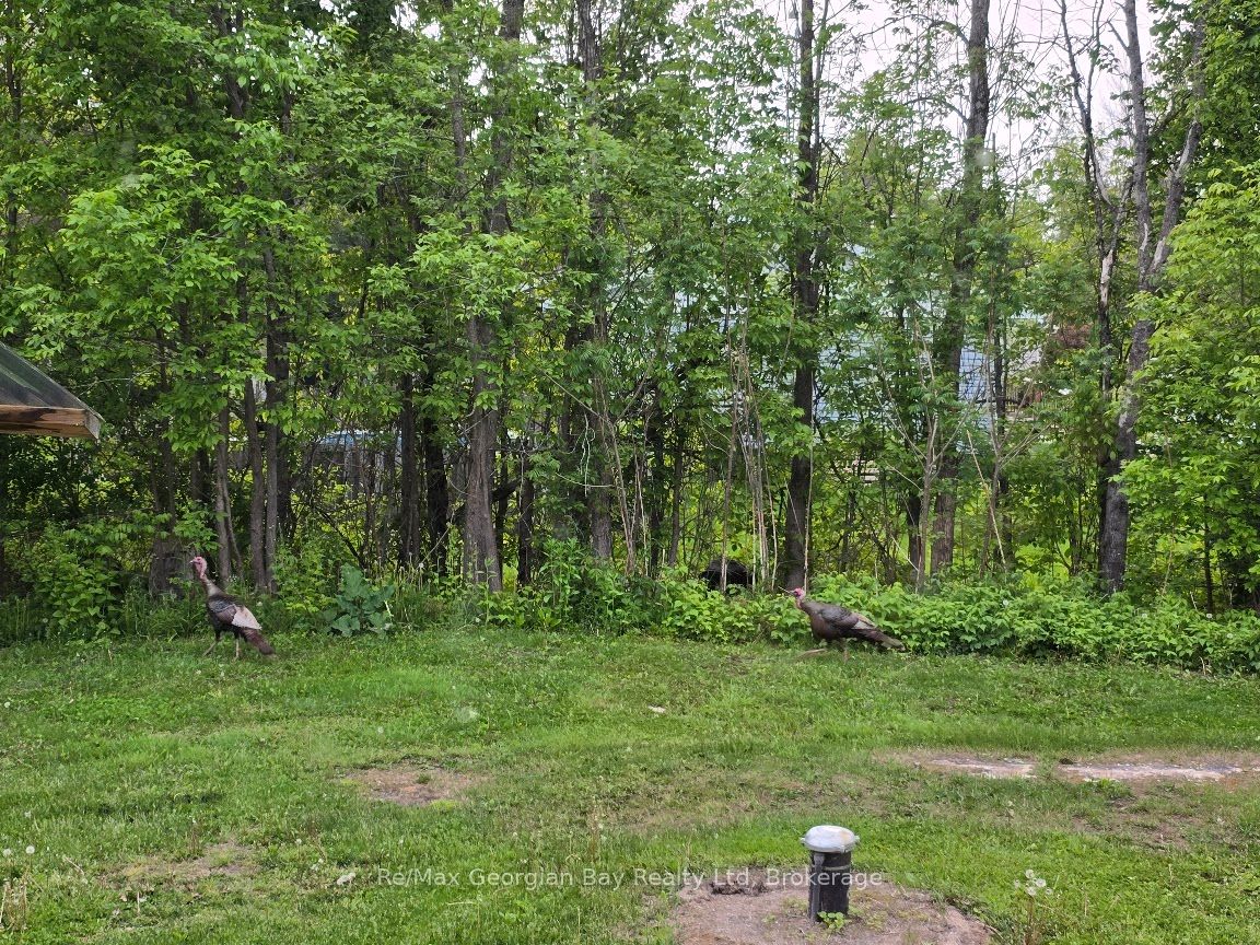 2066 Irish Line Property Photo 37