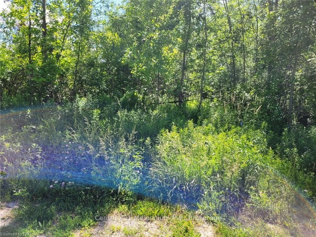 11325 Highway 26 Property Photo 2