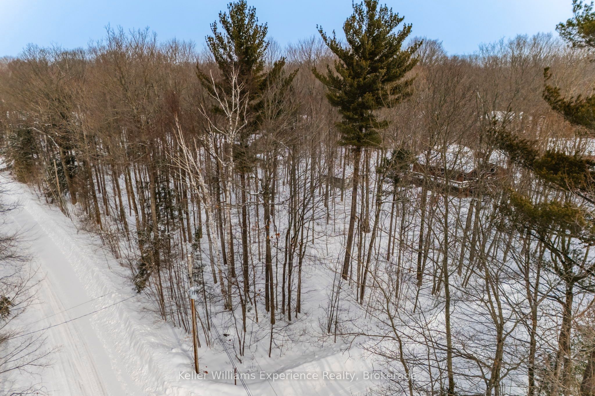 Lot 268 Celestine Court Property Photo 6