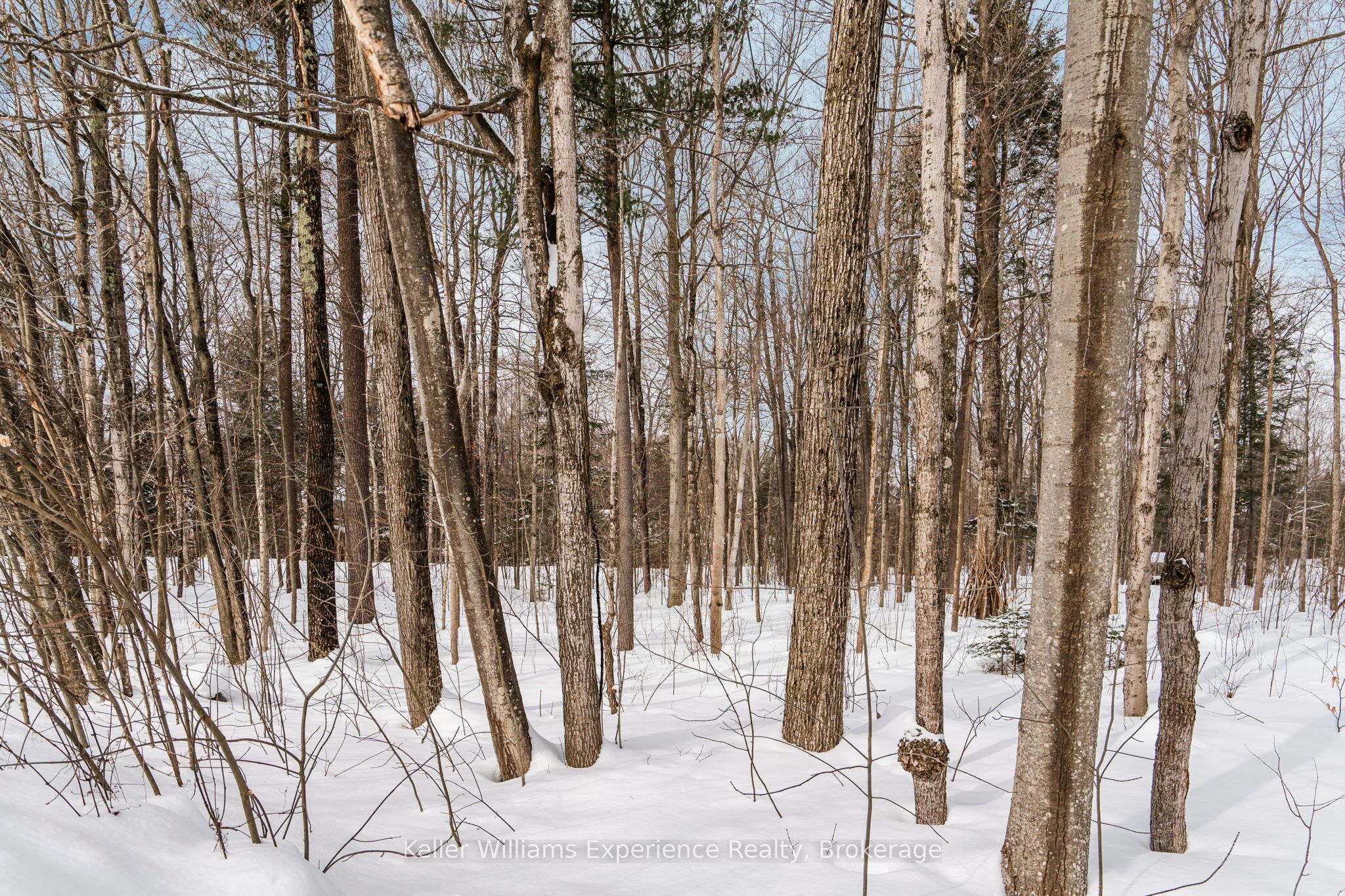 Lot 268 Celestine Court Property Photo 20