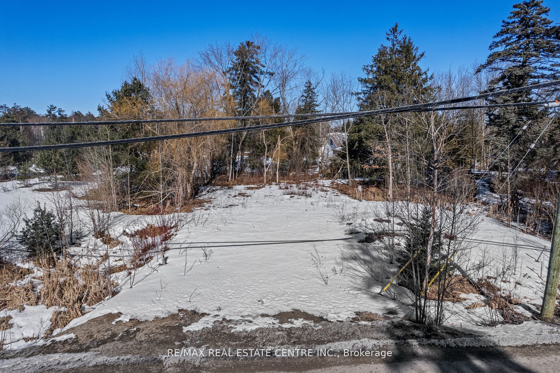 8299 County Road 169 Property Photo 1