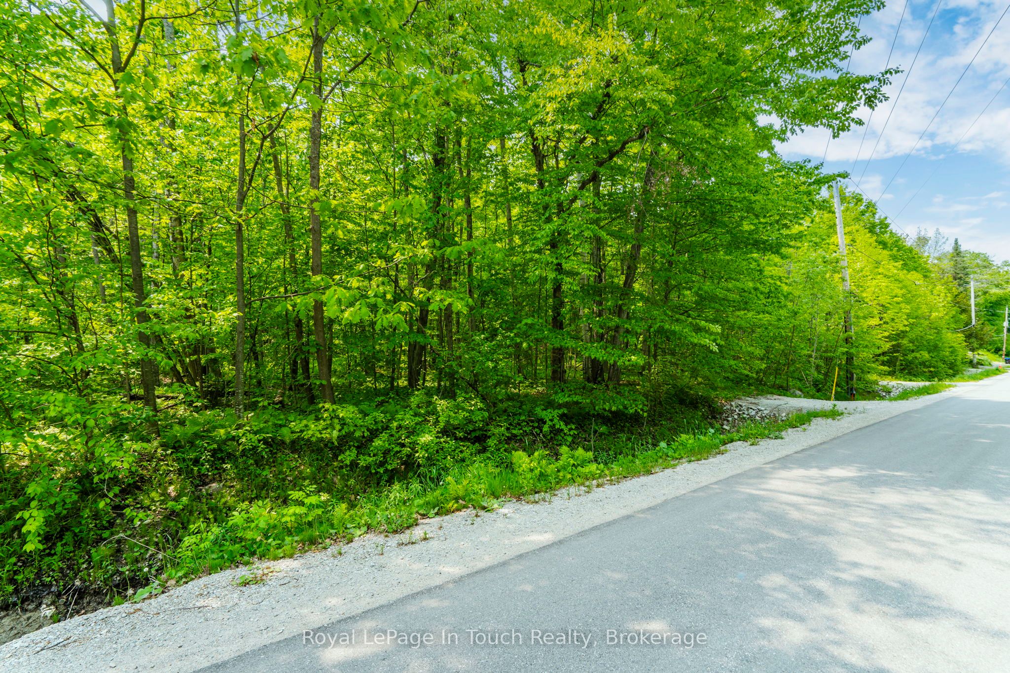 Lot 22 Champlain Road Property Photo 1