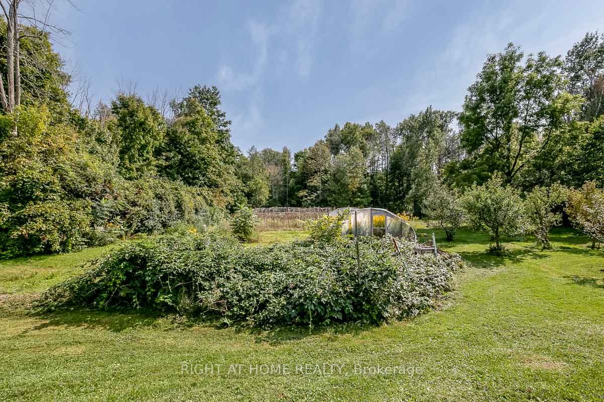 401 Ridge Road Property Photo 43