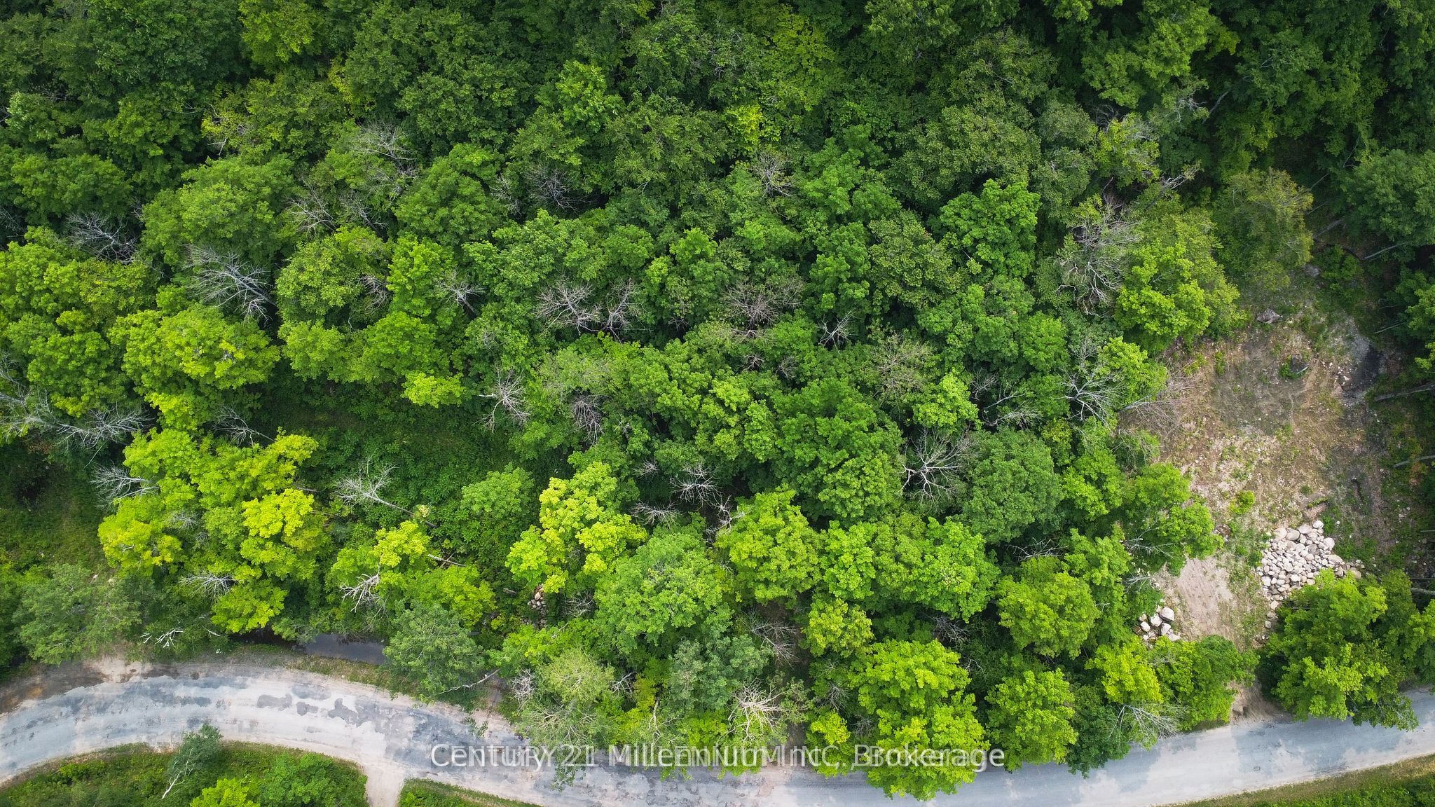 1963 Lot 52 Tiny Beaches Road Property Photo 3