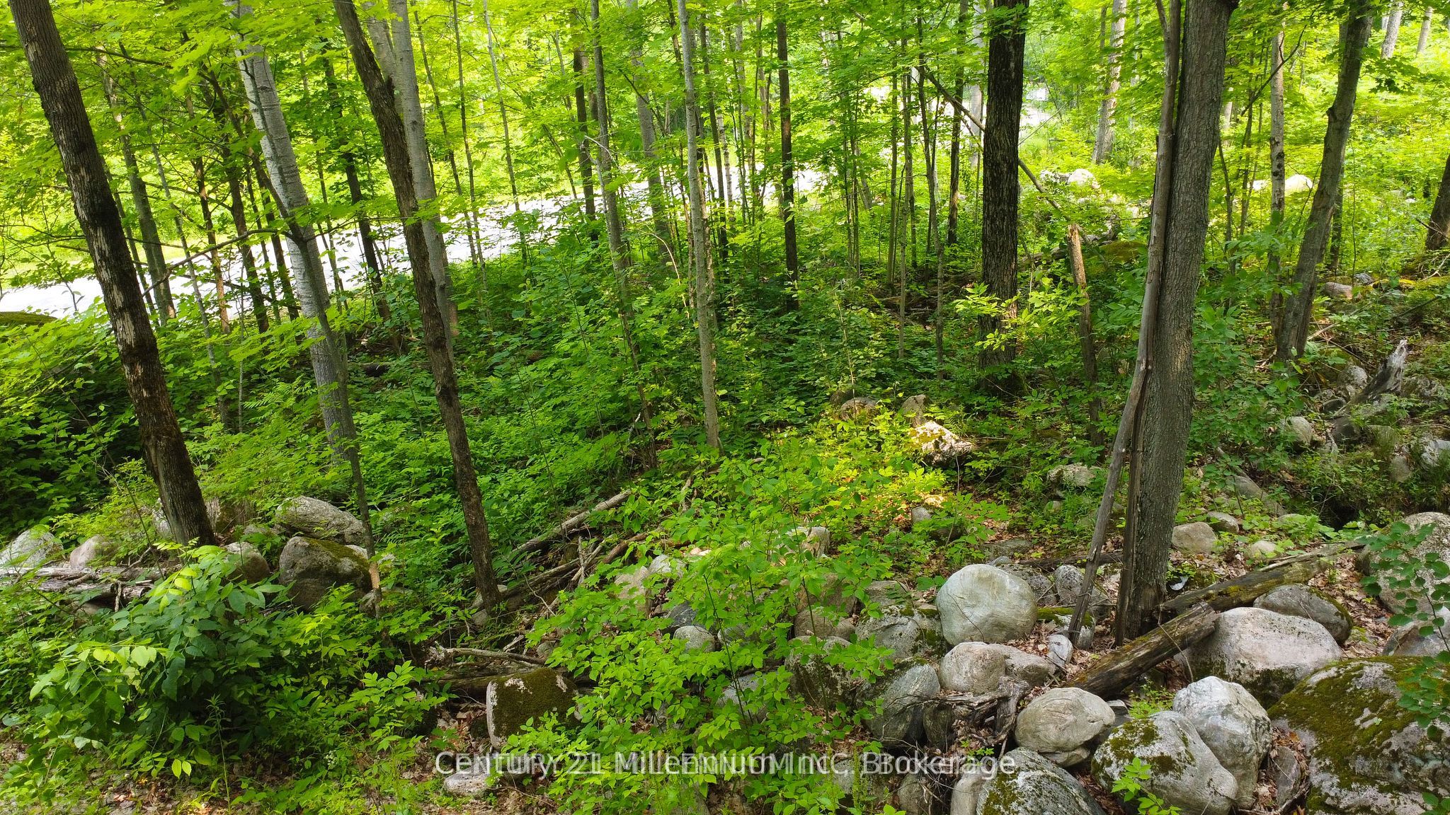 1963 Lot 52 Tiny Beaches Road Property Photo 5